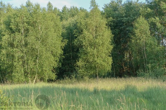 Działka budowlana Grzepnica. Zdjęcie 8