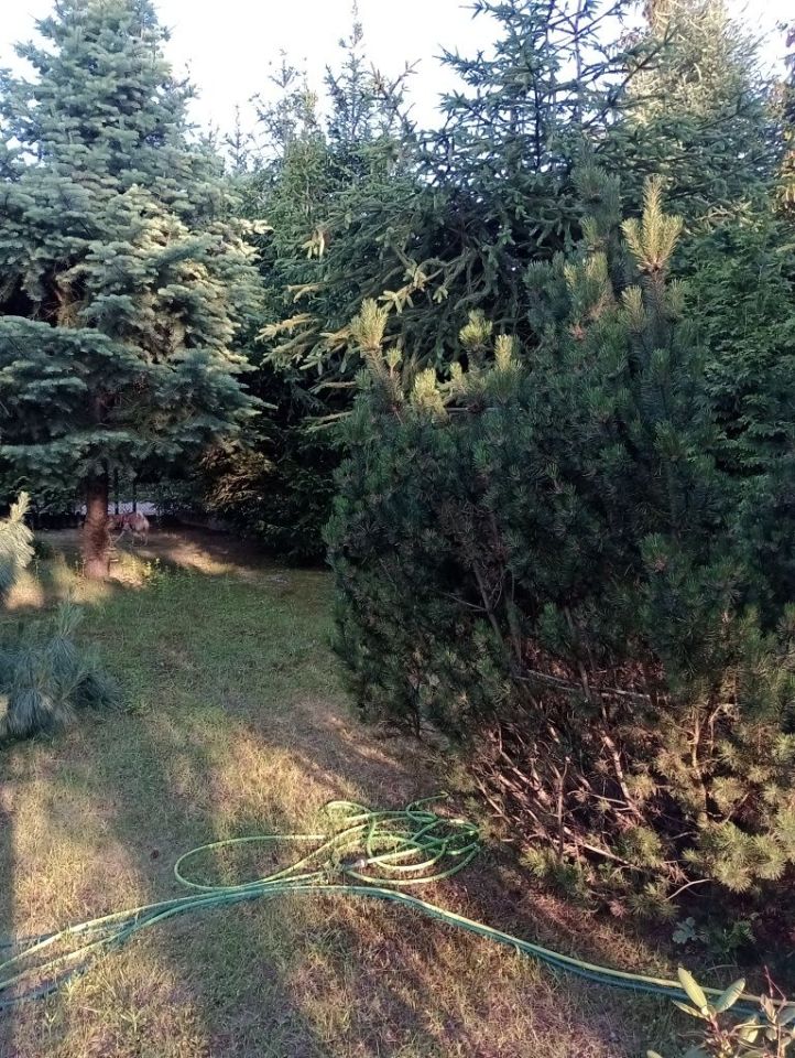 Działka rod Słowik. Zdjęcie 3