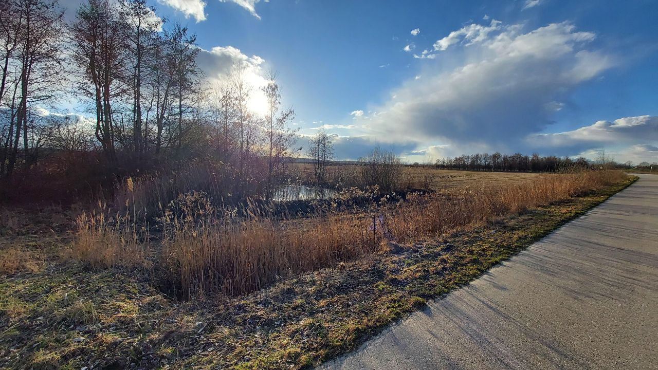 Działka rolno-budowlana Kuchary. Zdjęcie 6
