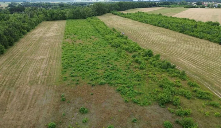 Działka budowlana Racimierz