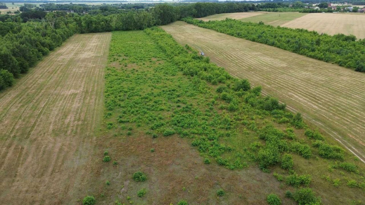 Działka budowlana Racimierz