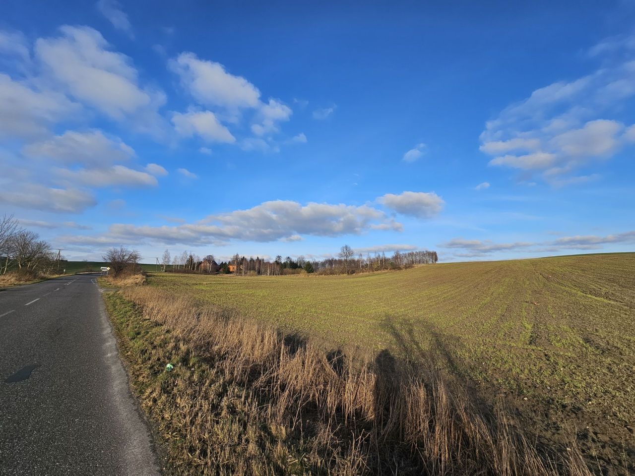 Działka rolno-budowlana Przyrowa. Zdjęcie 3
