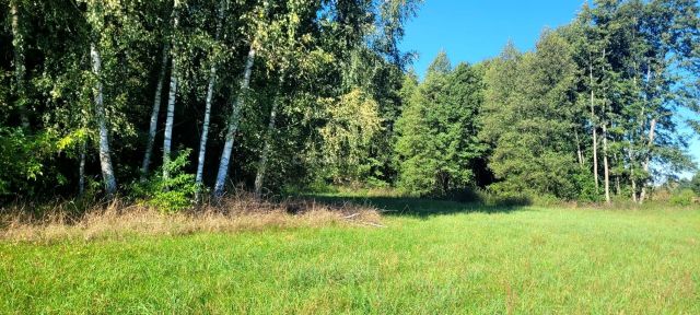 gospodarstwo Głowaczów, ul. Stromiecka. Zdjęcie 21