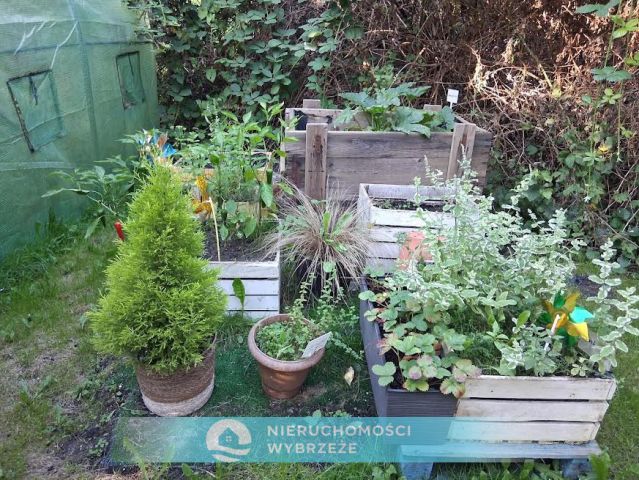 Działka rod Gdańsk Nowy Port, ul. Wyzwolenia. Zdjęcie 3