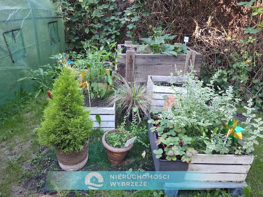 Działka rod Gdańsk Nowy Port, ul. Wyzwolenia. Zdjęcie 3