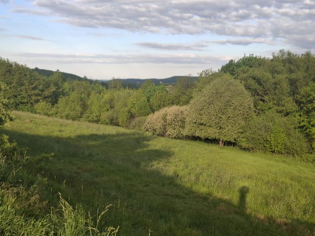 Działka budowlana Bolków, ul. Pogodna. Zdjęcie 1