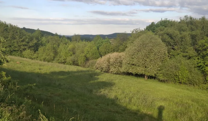 Działka budowlana Bolków, ul. Pogodna
