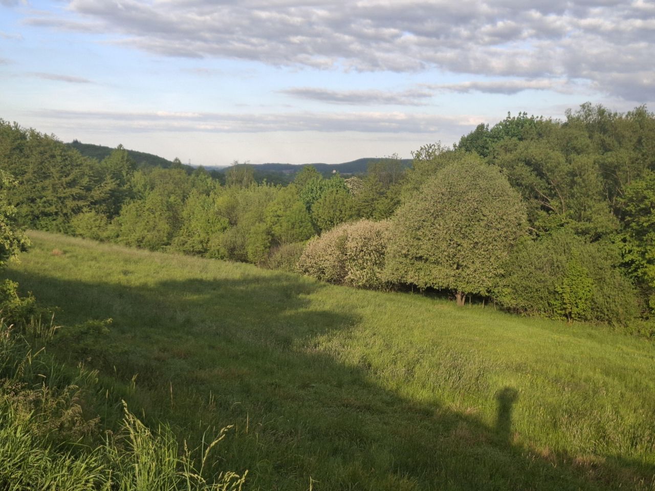 Działka budowlana Bolków, ul. Pogodna. Zdjęcie 1