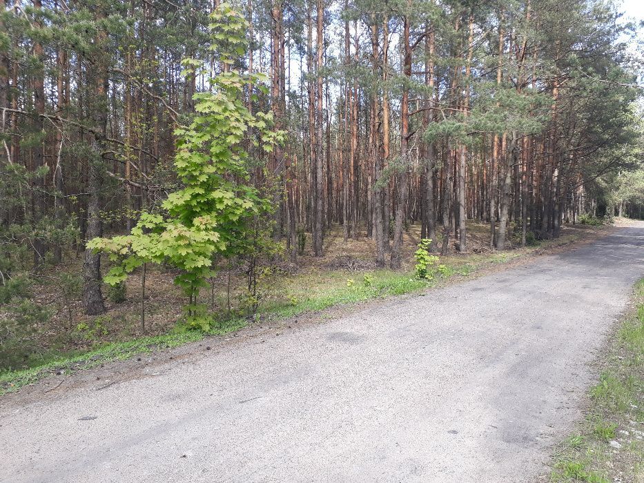 Działka rekreacyjna Kolonie Stanisławów. Zdjęcie 8