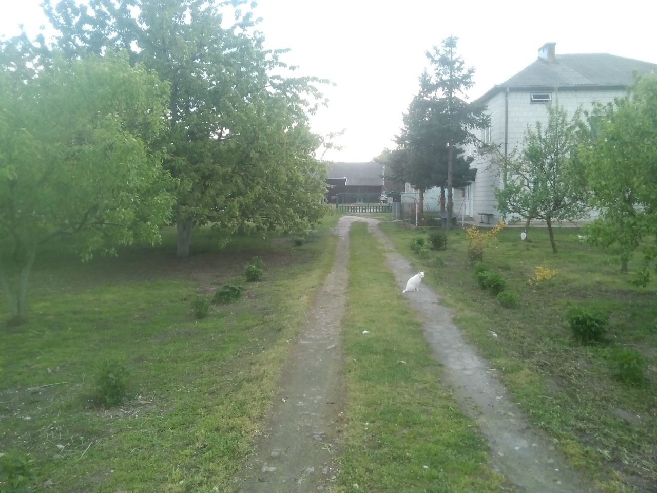 gospodarstwo, 4 pokoje Helenów. Zdjęcie 4