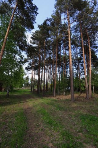 Działka budowlana Otwock, ul. Bagnista. Zdjęcie 9