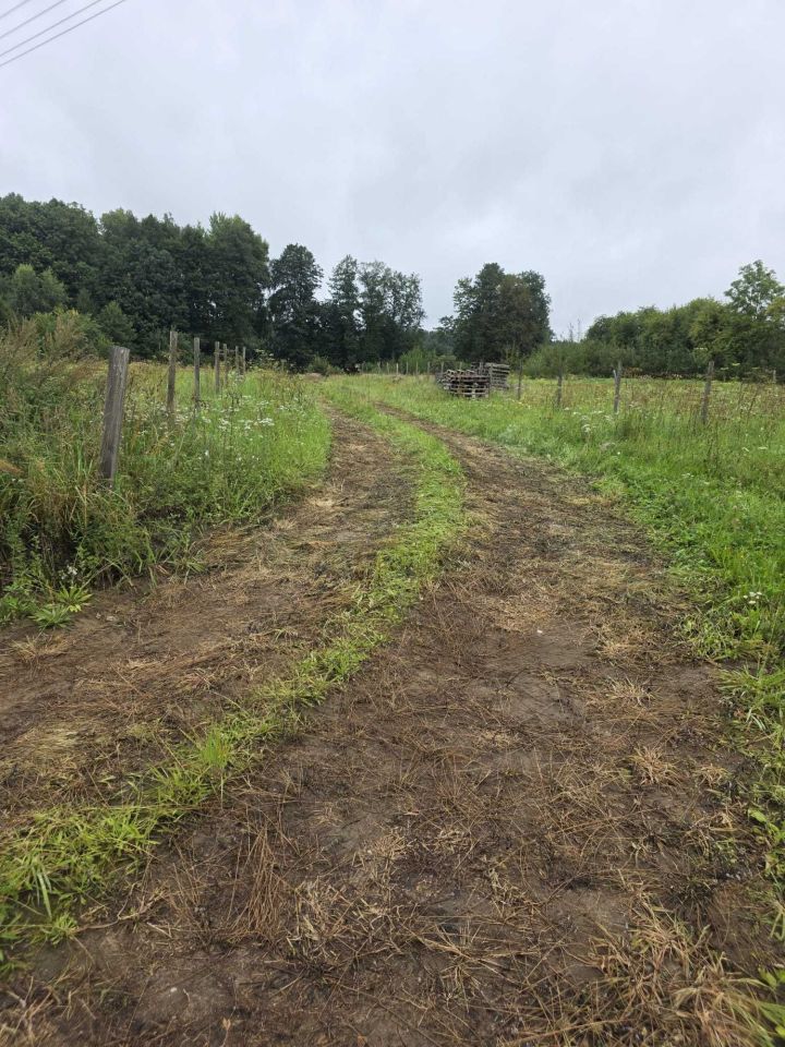 Działka budowlana Stary Dwór. Zdjęcie 4