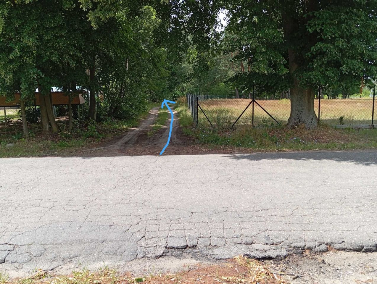 Działka leśna Ludwikowo. Zdjęcie 4