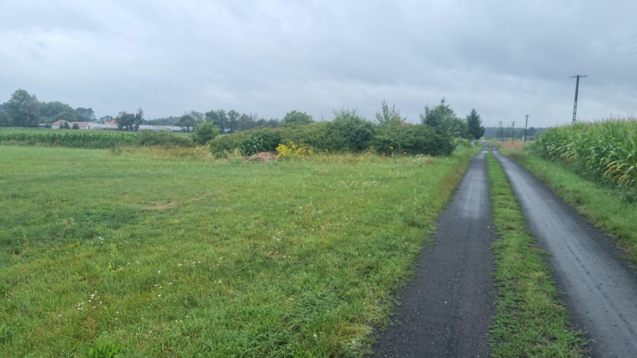 Działka rolna Łuszczewo. Zdjęcie 3