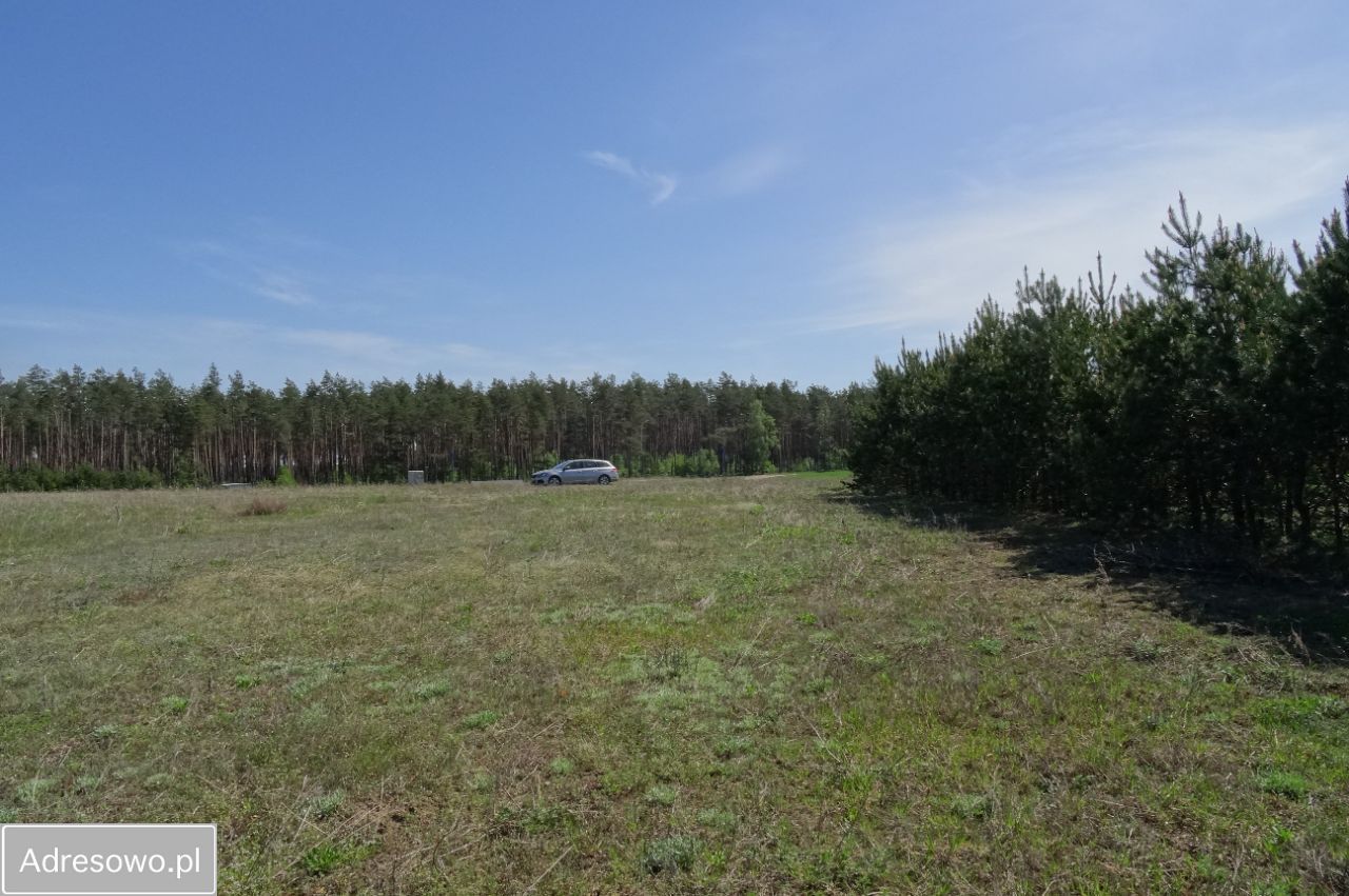 Działka rekreacyjna Lipnica. Zdjęcie 7