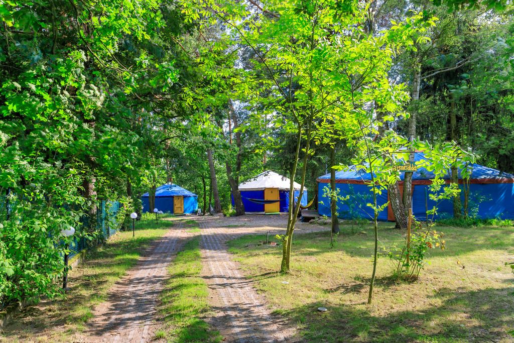 Nieruchomość komercyjna Czerwińsk nad Wisłą. Zdjęcie 17