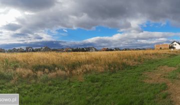 Działka budowlana Jędrzychów, ul. Wiejska