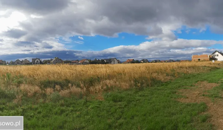 Działka budowlana Jędrzychów, ul. Wiejska
