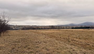 Działka budowlana Łodygowice, ul. Kasztanowa
