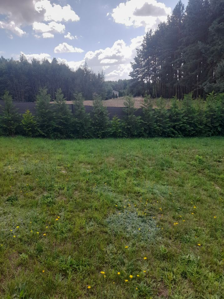 Działka rekreacyjna Morawy Albertowo. Zdjęcie 3