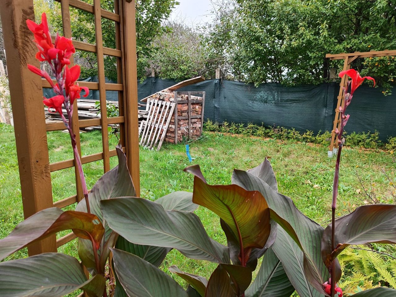 Działka rod Sosnowiec Pogoń. Zdjęcie 7