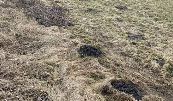 Działka budowlana Dobczyn, ul. Sezamkowa