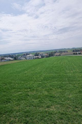 Działka budowlana Wilczopole. Zdjęcie 1