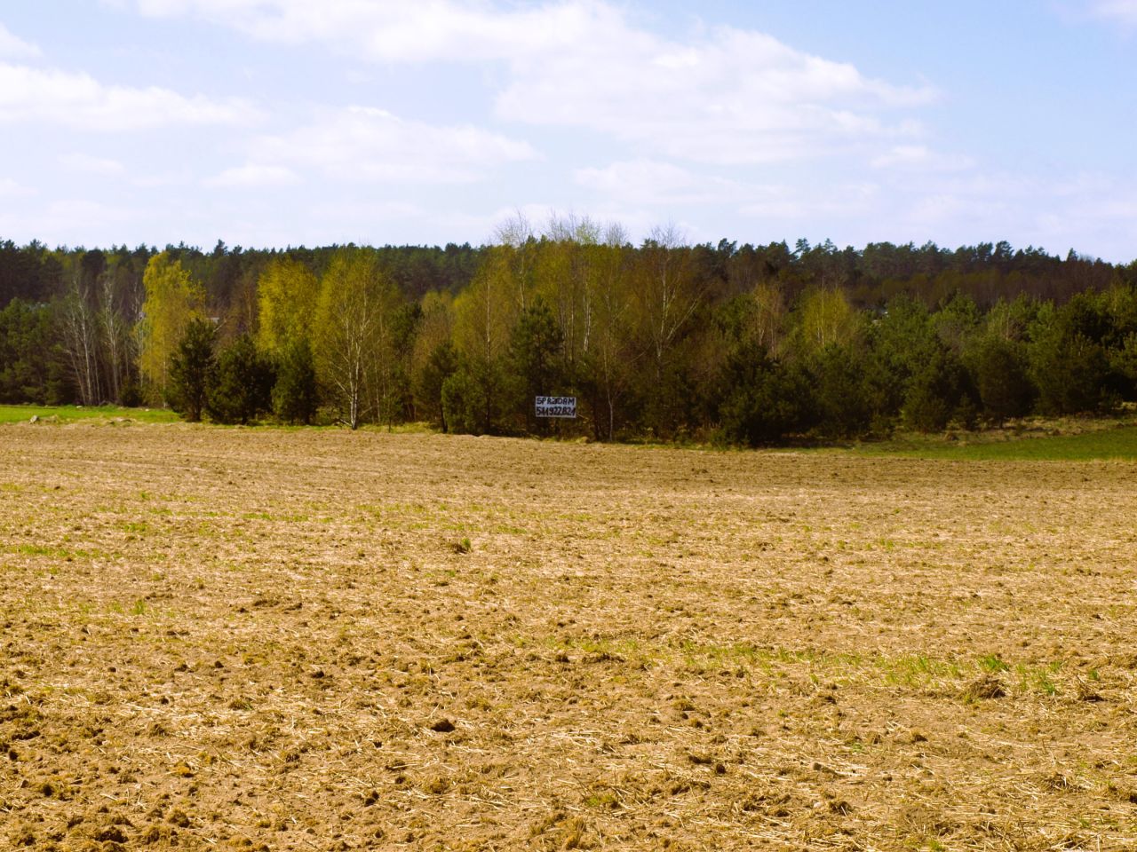 Działka rekreacyjna Lipy. Zdjęcie 12