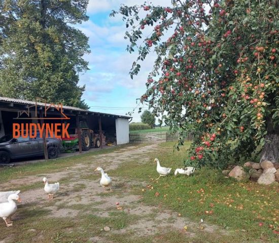 Działka rolna Janiewice. Zdjęcie 3