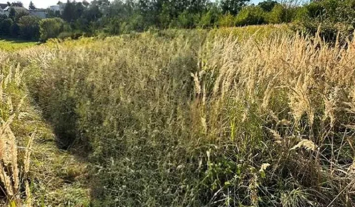 Działka rolno-budowlana Lublin Ponikwoda