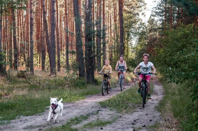 bliźniak, 4 pokoje Brzezinki. Zdjęcie 10