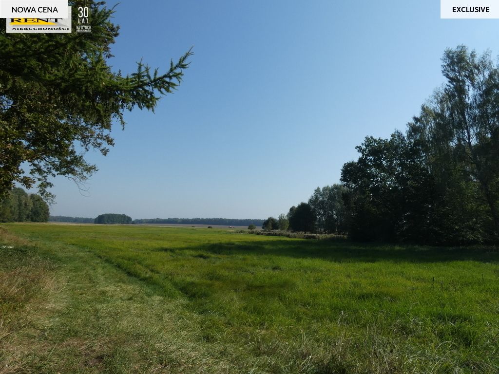 Działka inwestycyjna Tarnówko. Zdjęcie 2