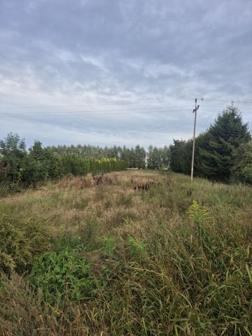 Działka rolna Małkocin. Zdjęcie 1