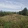 Działka rolna Małkocin. Zdjęcie 1