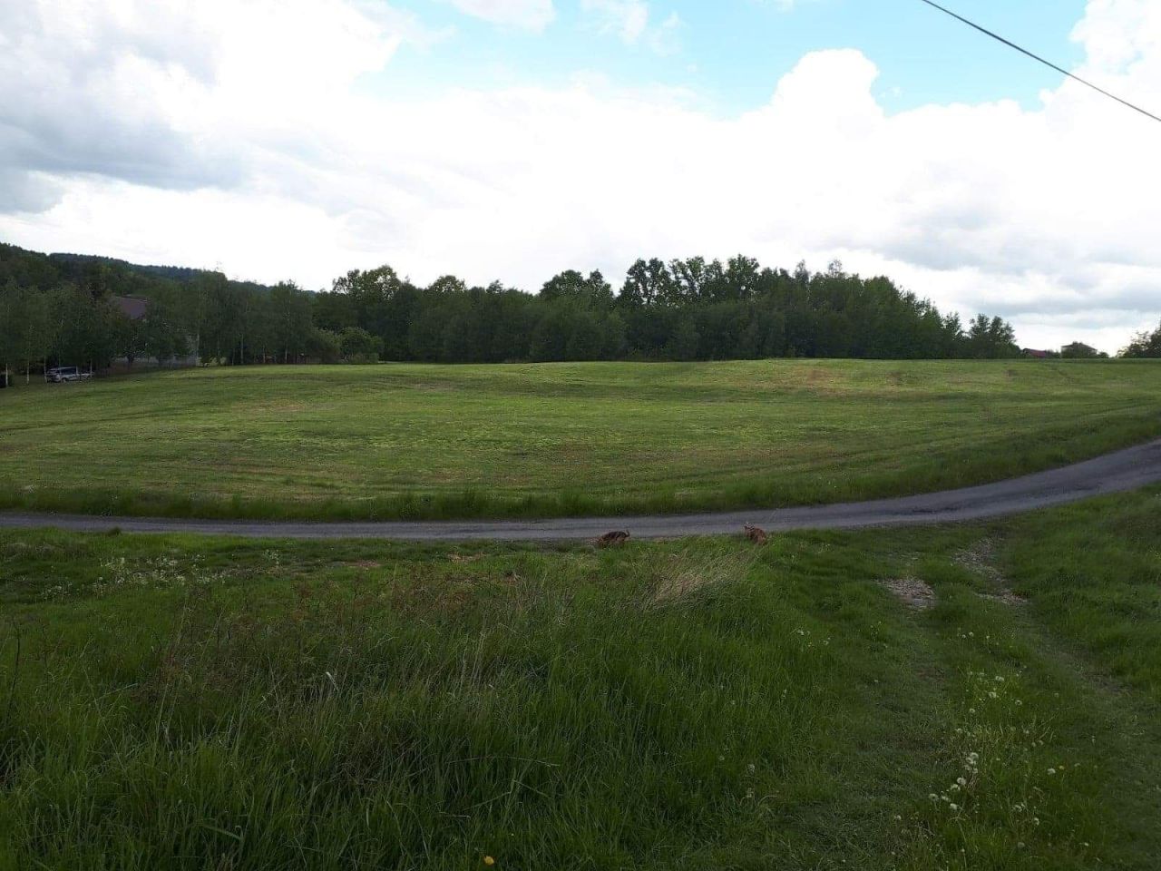 Działka budowlana Biesna. Zdjęcie 3