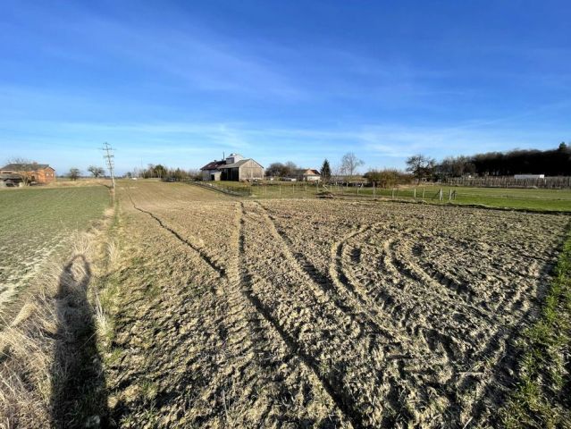 Działka rolno-budowlana Ludwin-Kolonia. Zdjęcie 1