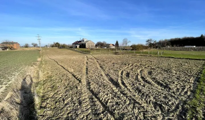 Działka rolno-budowlana Ludwin-Kolonia