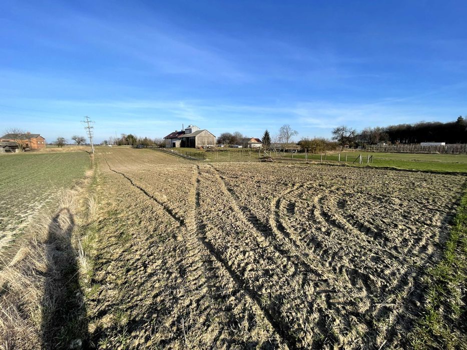 Działka rolno-budowlana Ludwin-Kolonia