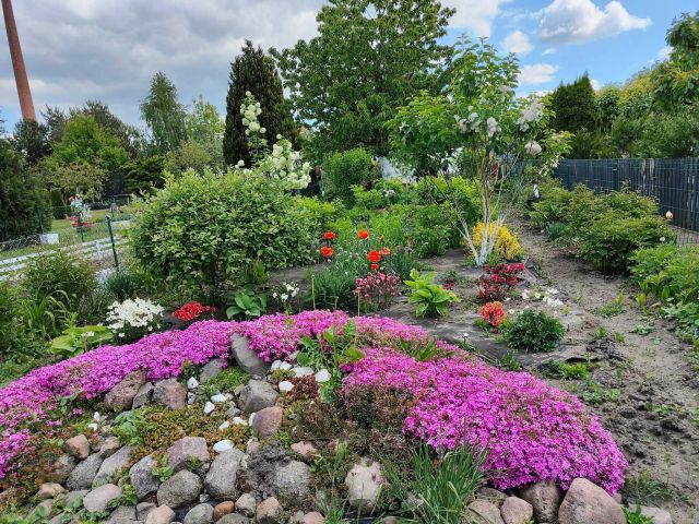 Działka rod Krotoszyn, ul. Polna. Zdjęcie 1