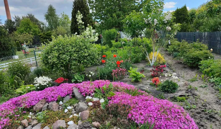 Działka rod Krotoszyn, ul. Polna