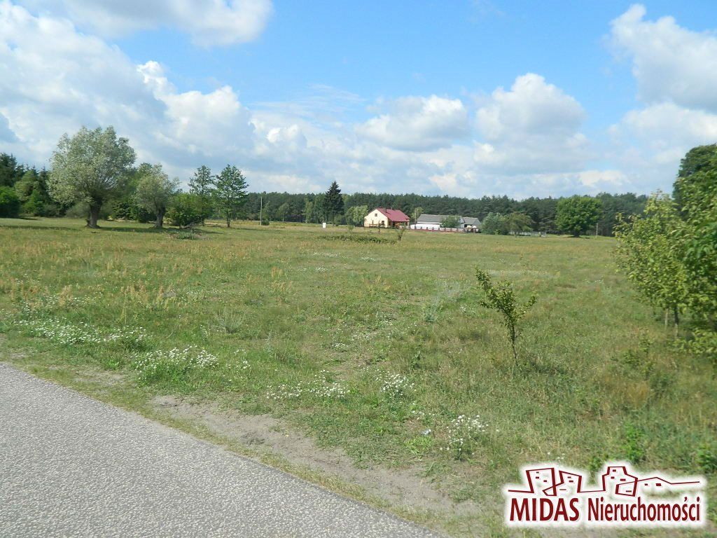 Działka rekreacyjna Dąb Mały. Zdjęcie 4