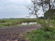 Działka rolna Łysołaje-Kolonia. Zdjęcie 3
