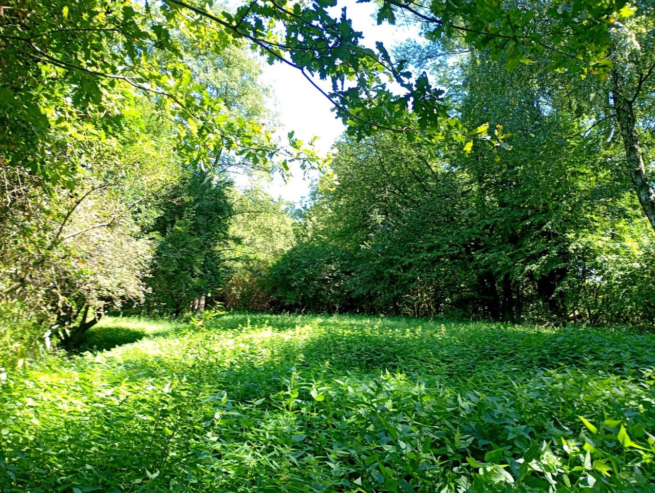Działka budowlana Kolbuszowa Górna. Zdjęcie 7