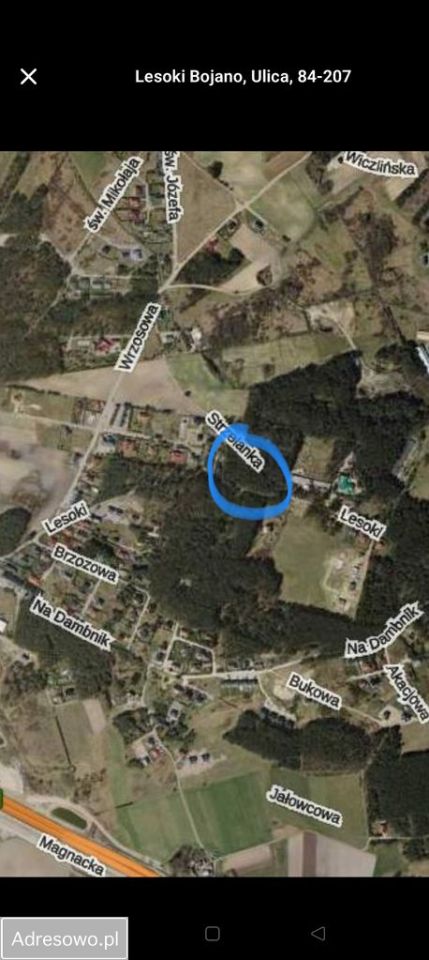 Działka leśna Bojano, ul. Lesoki. Zdjęcie 2