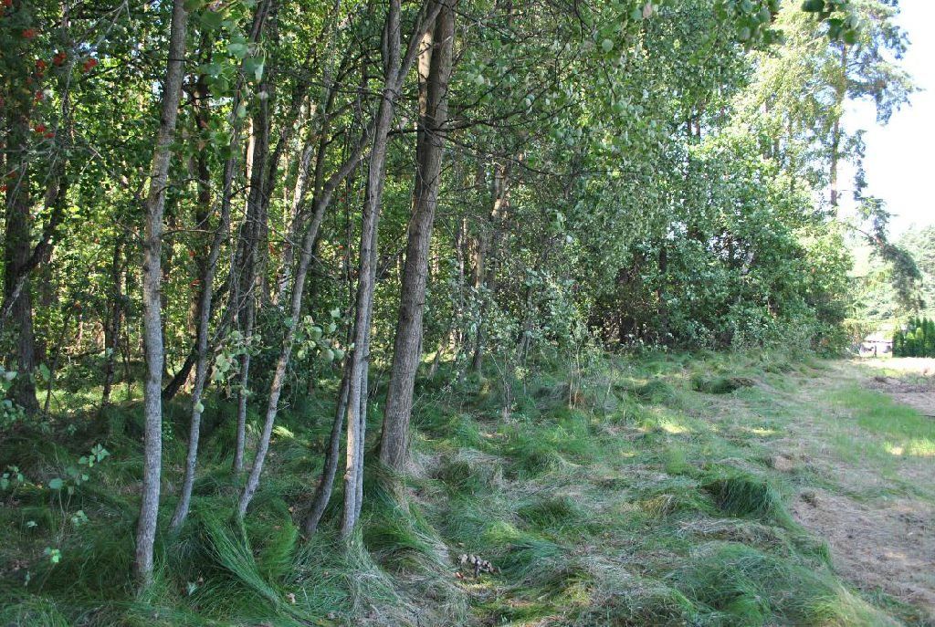 Działka budowlana Kęty Podlesie. Zdjęcie 11