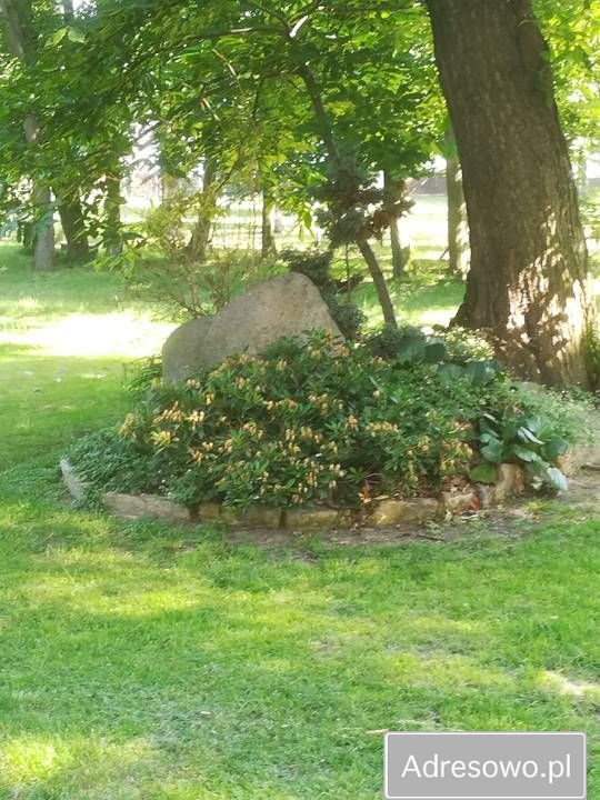 Nieruchomość komercyjna Racibórz. Zdjęcie 11