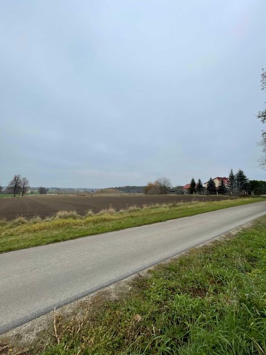 Działka rolna Jankowice. Zdjęcie 5