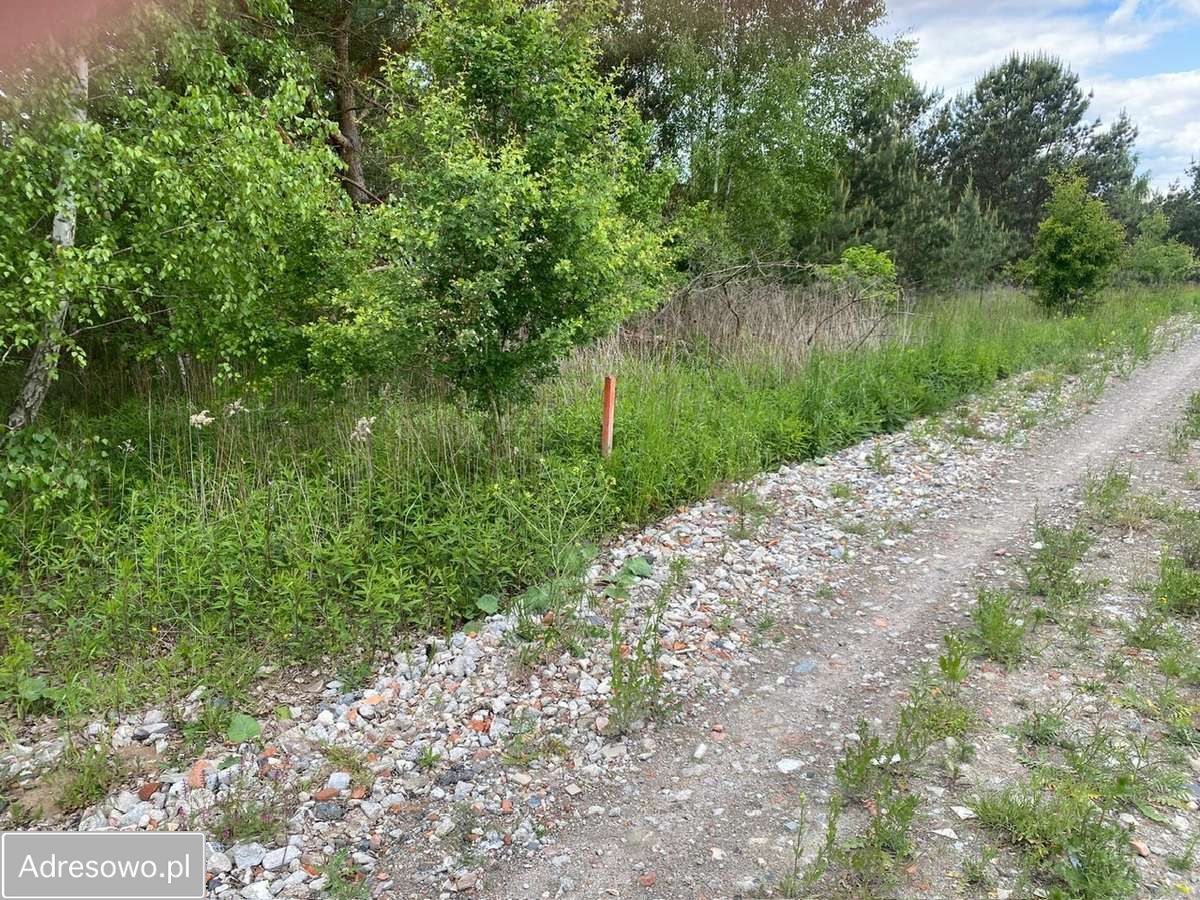 Działka budowlana Młyniec Drugi. Zdjęcie 6