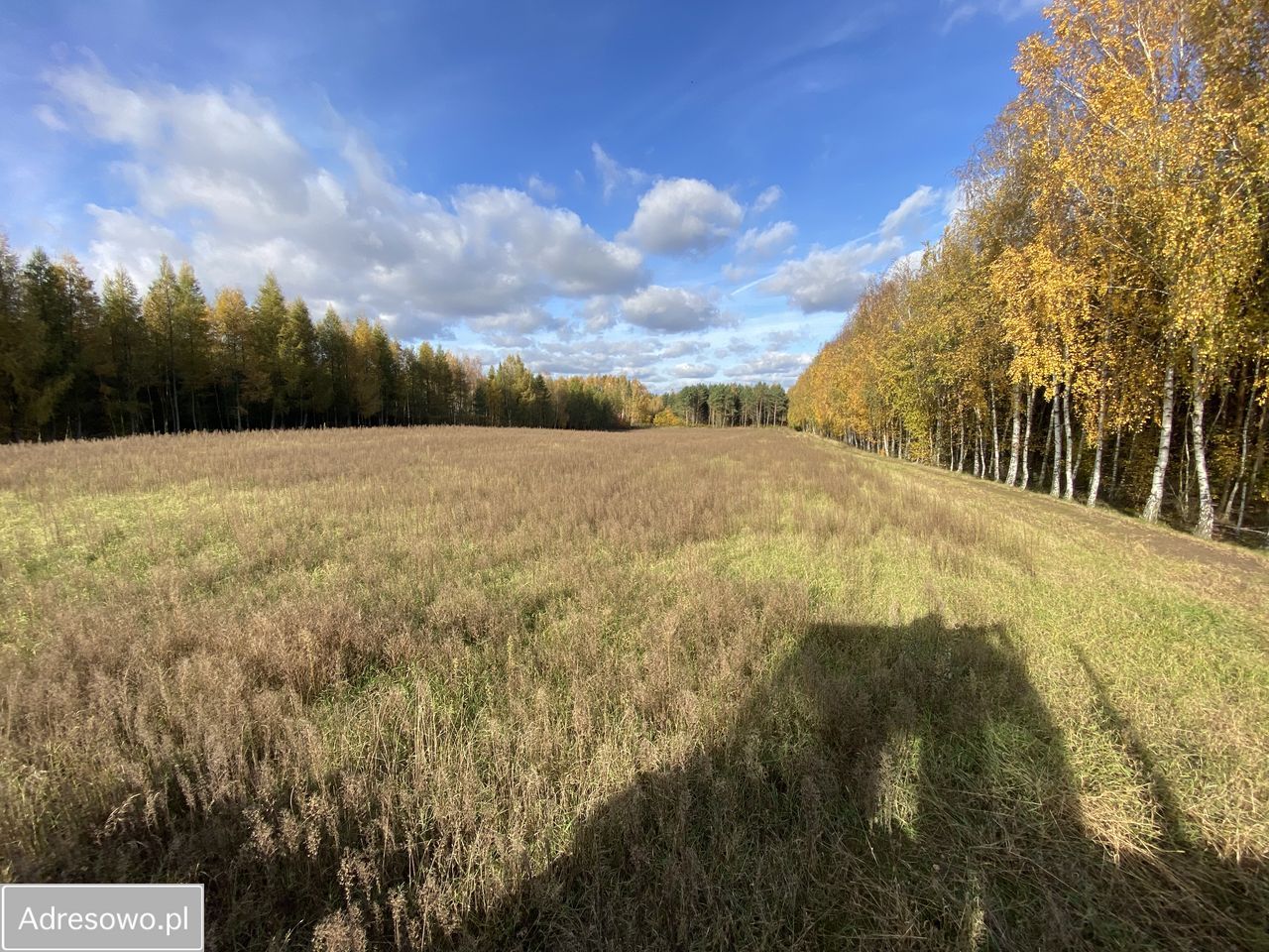 Działka budowlana Osiny. Zdjęcie 4