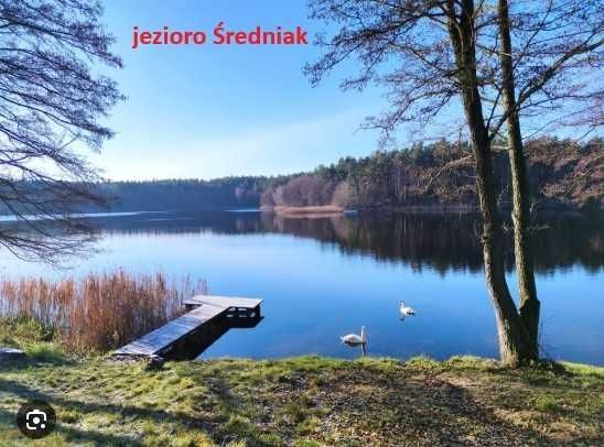 Działka budowlana Gostycyn. Zdjęcie 2